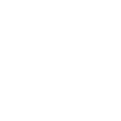 WSOCTV Charlotte Chanel 9